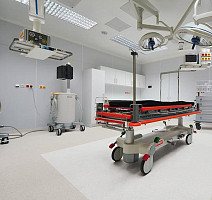 Forbo Sphera Sd 550018 mortar фото 2 | FLOORDEALER